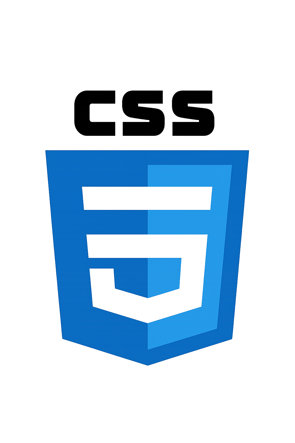 CSS 3